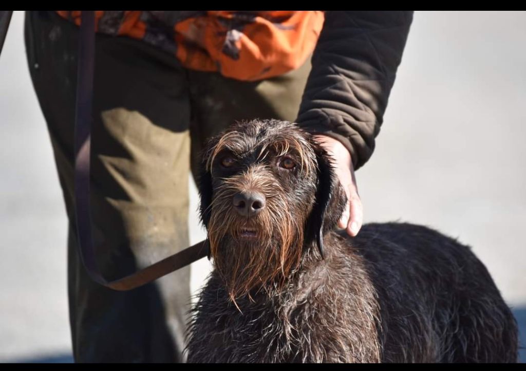 GAGNANTE PRO MASTERCHASSE 2025 SIRKA DE LA BARDE LIERRE